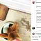 Image for article titled One of the Duggar Spawn Fed Their Dog Years-Old Frozen Breast Milk, So That's How Things Are Going